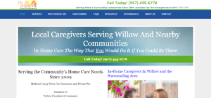 Willow Personal Care Assistants LLC - Home Page Screen Shot - Above the fold